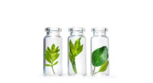 Sustainable preservation concepts with L(+)-Lactic Acid for home and personal care products